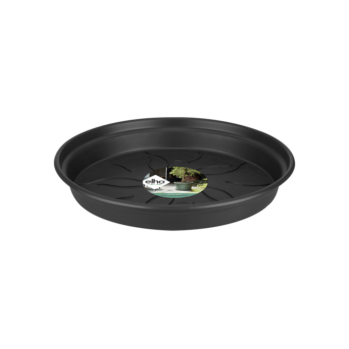 green basics saucer 34cm living black